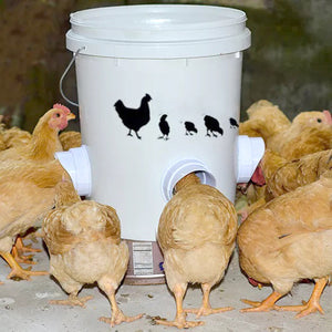 EinfachHuhn™ - Füttern Sie Ihre Hühner einfach