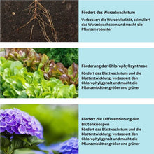 Lade das Bild in den Galerie-Viewer, SoilBooster Düngemitteltablette - Stärkeres Pflanzenwachstum &amp; längere Blütezeit
