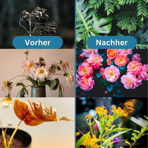 SoilBooster Düngemitteltablette - Stärkeres Pflanzenwachstum & längere Blütezeit