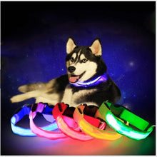 Lade das Bild in den Galerie-Viewer, PetSave - LED-Hundehalsband
