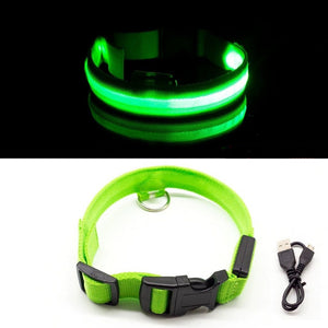 PetSave - LED-Hundehalsband