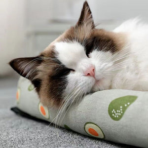 KatzenSchlaf™ - Schenken Sie Ihrer Katze das ultimative Bett!