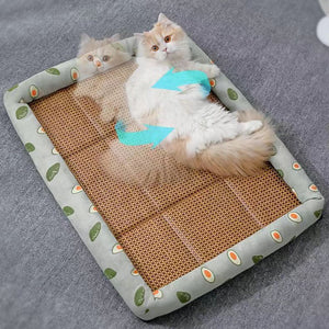 KatzenSchlaf™ - Schenken Sie Ihrer Katze das ultimative Bett!