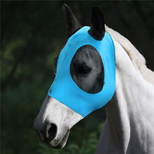 Lade das Bild in den Galerie-Viewer, HorseCap™ - Schützen Sie Ihre Pferde vor Fliegenwürmern
