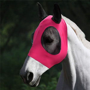 HorseCap™ - Schützen Sie Ihre Pferde vor Fliegenwürmern