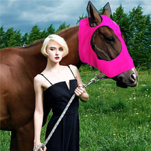 Lade das Bild in den Galerie-Viewer, HorseCap™ - Schützen Sie Ihre Pferde vor Fliegenwürmern
