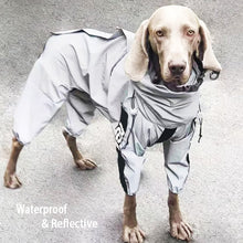Lade das Bild in den Galerie-Viewer, DogProtect™ - Schütze deinen Hund vor dem Regen!

