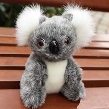 Lade das Bild in den Galerie-Viewer, Süßes Koala Kuscheltier
